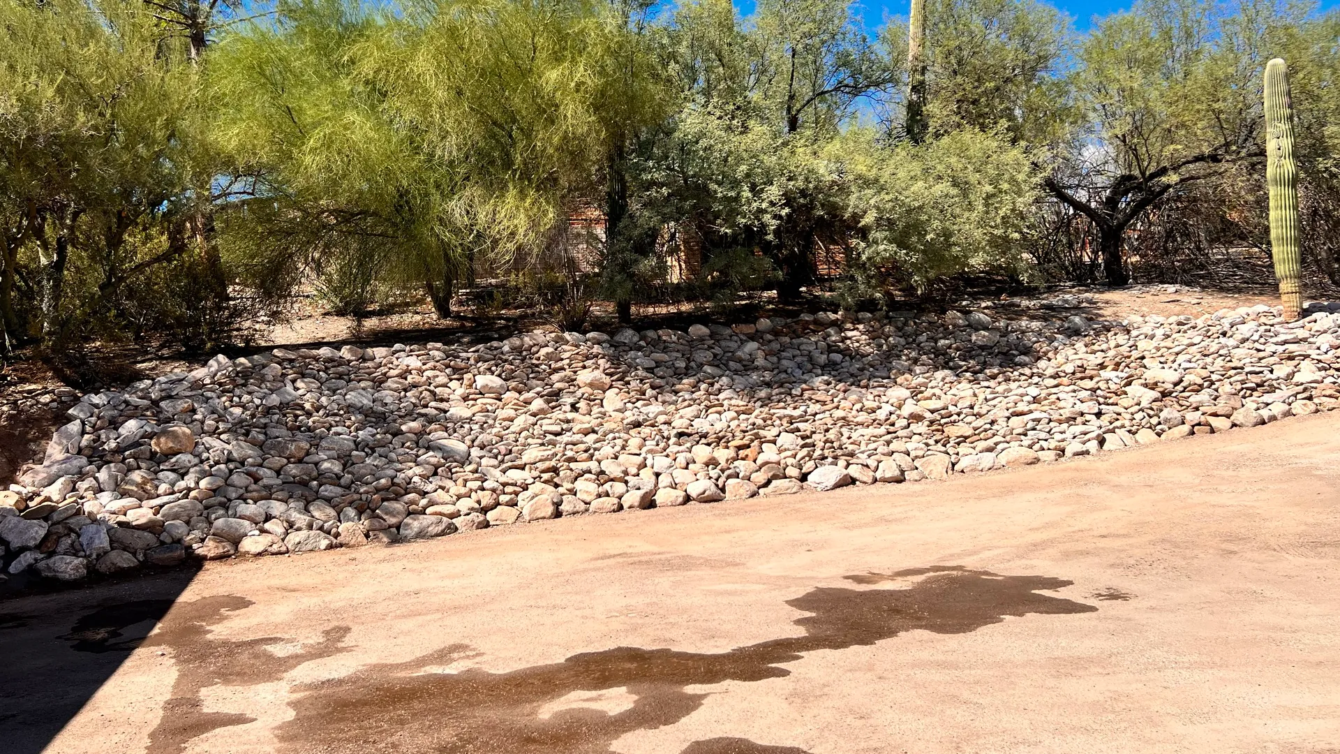 A hillside covered edge-to-edge with light-colored decorative river rock and mature desert trees along the top.
