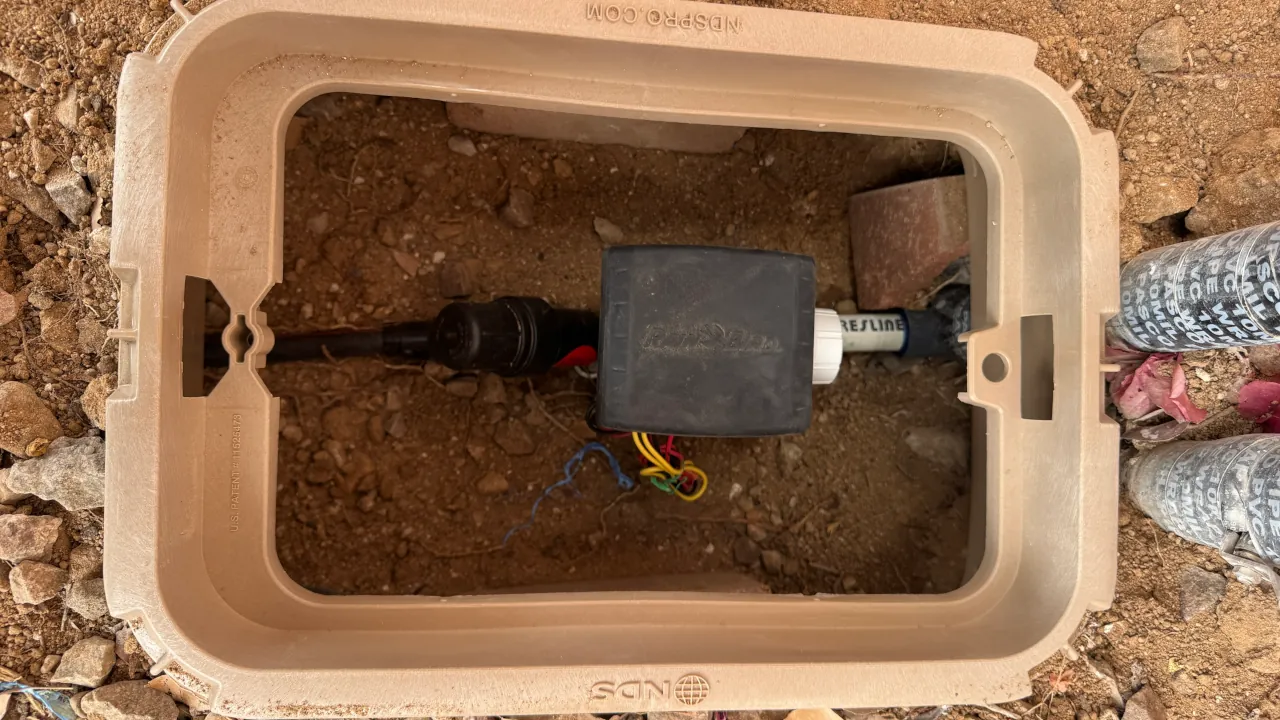 Drip irrigation lines and emitters installed in a desert landscape bed.